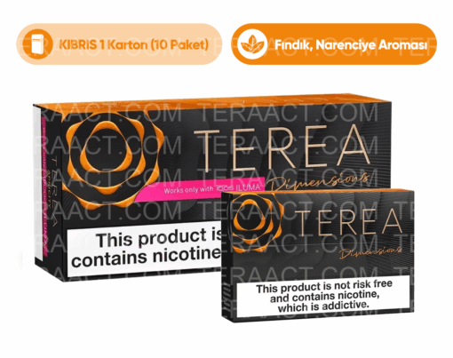 IQOS Terea Dimensions Noor