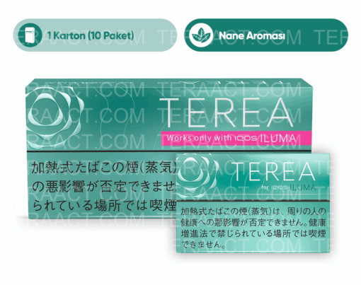 IQOS Terea Mint (Japon)
