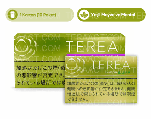 TEREA Bright Menthol